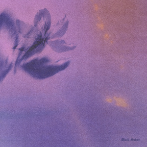 1024手机看片视频在线观看免费
